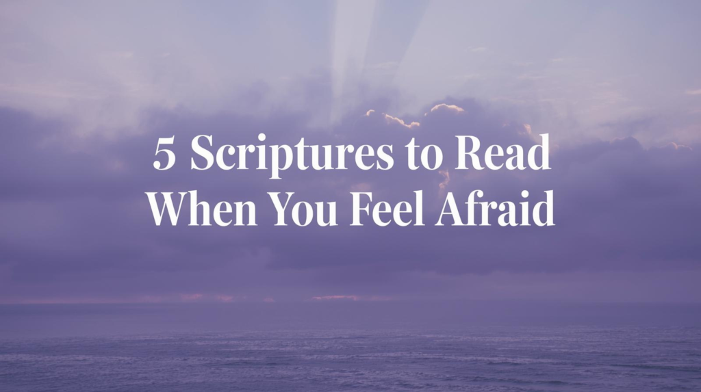 untitled design (14)