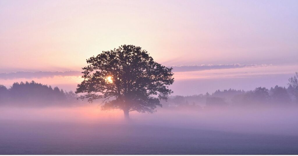 untitled design (19) untitled design (19)